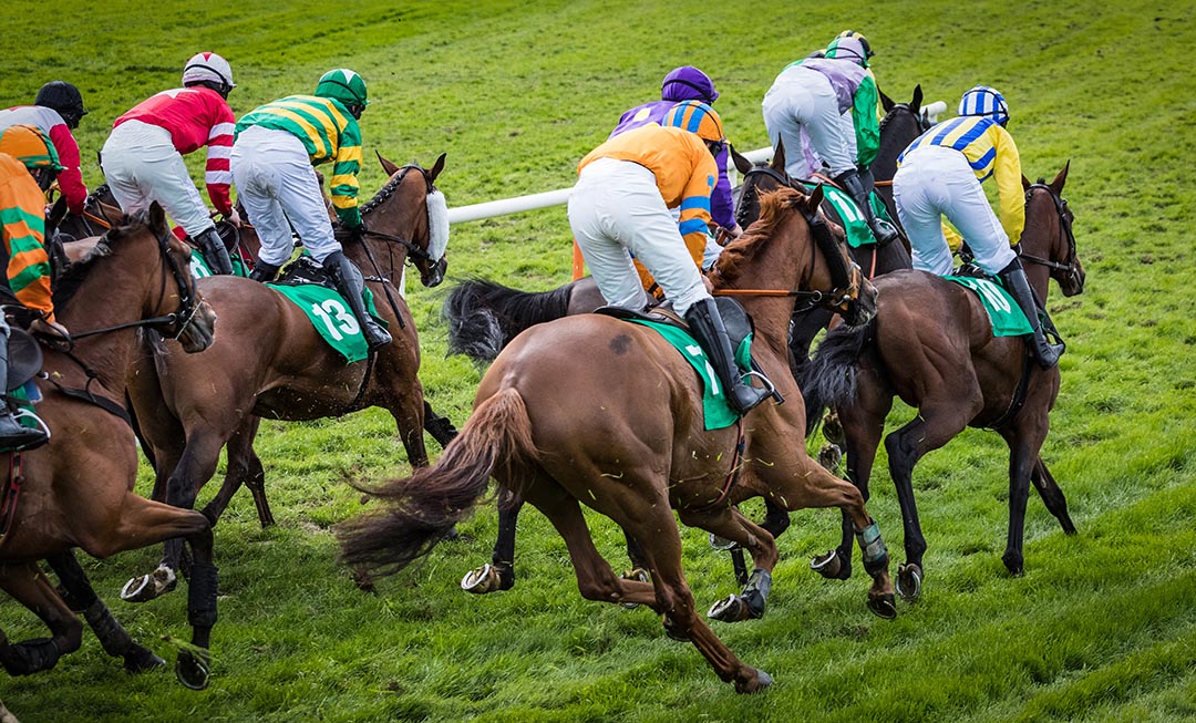 Racehorses treated